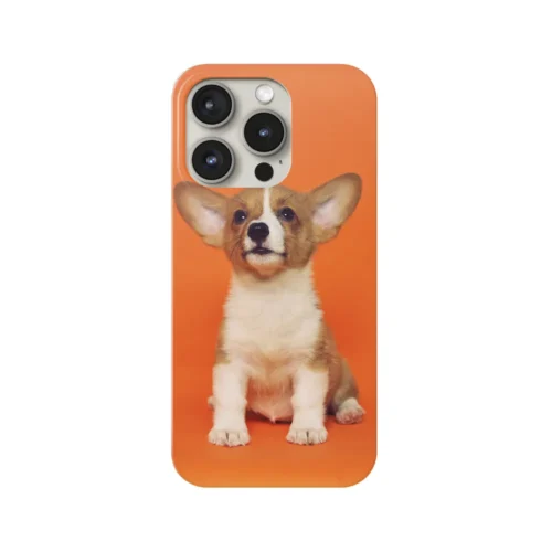 536948e0-d16c-401e-9308-c107cf250d94.webp Custom Phone Case